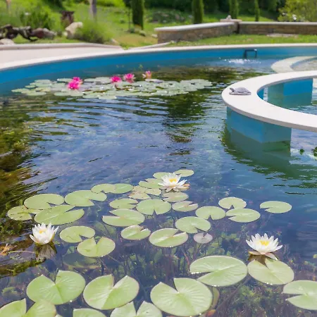 Villa Gallery Bura By Interhome *