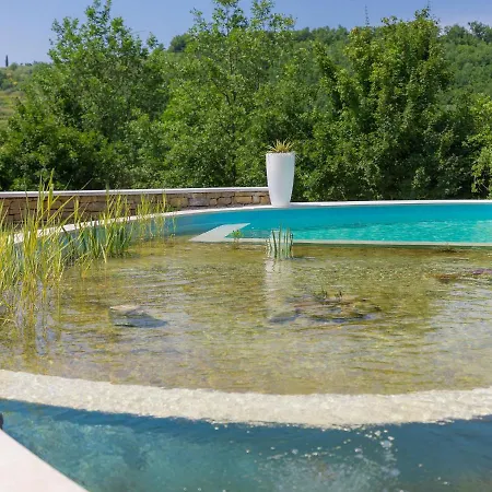 Gallery Bura By Interhome